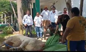LA Nyalla Akademia Mojokerto Raya Menggelar Silahturohmi dan Berbagi Daging Qurban Untuk Warga Sekitar
