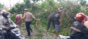 Polisi dan TNI Gotong Royong Tangani Pohon Tumbang Jalan Raya Balongbendo Sidoarjo Kembali Lancar