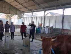 Jelang Iduladha, Pemkot Mojokerto Akan Perketat Pengawasan Kesehatan Hewan Kurban