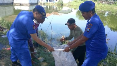 Peduli Lingkungan Polresta Sidoarjo Bersama Warga Bersihkan Sampah di Pesisir Pantai