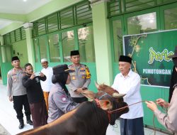 Bakti Qurban, Kapolres didampingi Polwan, Berikan Sapi Kepada Ketua PCNU Kota Mojokerto
