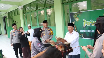 Bakti Qurban, Kapolres didampingi Polwan, Berikan Sapi Kepada Ketua PCNU Kota Mojokerto
