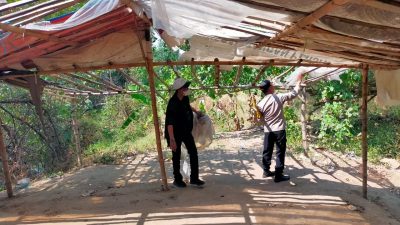 Meresahkan Masyarakat, Polsek Jetis Gerebek Tempat Judi Sabung Ayam