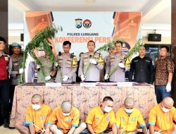 Polres Lumajang Berhasil Ungkap Peredaran Narkoba dan Ladang Ganja 5 Tersangka Diamankan