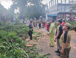 Cuaca Extreme, Polisi Bantu Evakuasi Pohon Tumbang di Kota Mojokerto