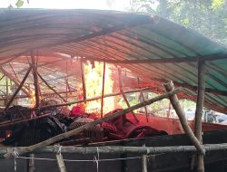 Tindak Tegas Perjudian Polres Mojokerto Bongkar Arena Sabung Ayam