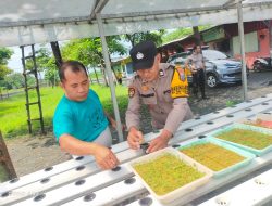 Polisi Ajak Warga Kembangkan Hidroponik untuk Dukung Ketahanan Pangan di Sidoarjo
