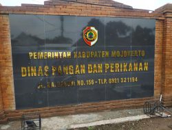 Stok Beras Pemkab Mojokerto Menumpuk di Gudang, Warga Pertanyakan Peran Pemerintah Saat Harga Melambung