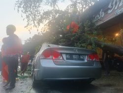 Angin Kencang Tumbangkan Pohon Kersem, Timpa Mobil Warga Kediri di Sooko Mojokerto