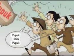 Harga Pupuk Melambung Tinggi, Petani Berharap Dinas Pertanian Tindak Kios Nakal