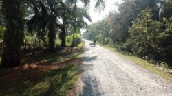 Akses Jalan Menuju Puskesmas Cot Seumereung Belum Diaspal, Warga Harapkan Perhatian Pemerintah