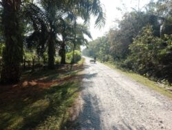 Akses Jalan Menuju Puskesmas Cot Seumereung Belum Diaspal, Warga Harapkan Perhatian Pemerintah