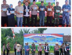 Penanaman Jagung Serentak Kuartal I 2026 di Jombang Dukung Program Swasembada Jagung Nasional