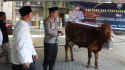 Hewan Kurban Sapi dari Kapolda Jatim Diserahkan Kapolres Jombang ke Dua Ponpes di Jombang