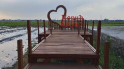 Proyek RTH Desa Kepuhanyar Anggaran BK Desa 2025 Dikerjakan Kontraktual, Sejumlah Persoalan Muncul