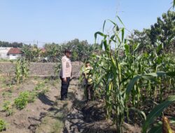 Polsek Kabuh Ajak Masyarakat Optimalkan Lahan Demi Perkuat Ketahanan Pangan