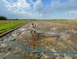 PT Energi Agro Nusantara Bantah Dugaan Pembuangan Limbah Tetes, Tegaskan Produk yang Didistribusikan Merupakan Pupuk Hayati Berizin
