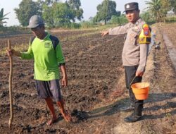 Polsek Kudu Lakukan Pendampingan Penanaman Benih Jagung Bantuan Dinas Pertanian melalui Polres Jombang