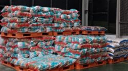 Bulog Jatim Perkuat Pasokan Beras Premium untuk Pasar dan Ritel Modern