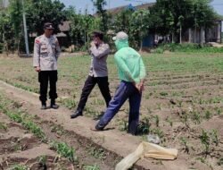 Bhabinkamtibmas Polsek Bandar Kedungmulyo Dukung Warga Optimalkan Pekarangan untuk Ketahanan Pangan