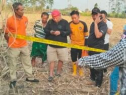 Kerangka Diduga Manusia Ditemukan di Persawahan Trowulan, Polisi Lakukan Penyelidikan