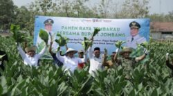Panen Raya Tembakau Jombang 2026: Potensi Ekonomi Capai Setengah Triliun, Pemkab Salurkan Ratusan Ton Pupuk dan Alat Mesin Pertanian