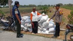 Kanit Binmas Laksanakan Pembinaan kepada Petani Jagung, Dukung Ketahanan Pangan Nasional