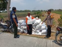 Kanit Binmas Laksanakan Pembinaan kepada Petani Jagung, Dukung Ketahanan Pangan Nasional