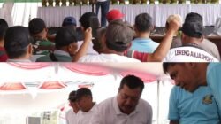 Kontes Durian Wonosalam 2026, Berburu Bibit Varietas Lokal Berkualitas