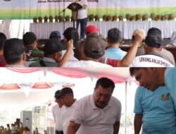 Kontes Durian Wonosalam 2026, Berburu Bibit Varietas Lokal Berkualitas