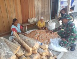 Tak Hanya Bangun Jalan, Satgas TMMD ke-130 Kodim Jombang Peduli Petani Jagung
