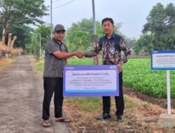 BRI Peduli TJSL Dukung Pavingisasi Dusun Kwangen, Tingkatkan Infrastruktur Desa Sidorejo